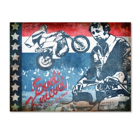 ALI Chris 'Evel' Canvas Art,35x47